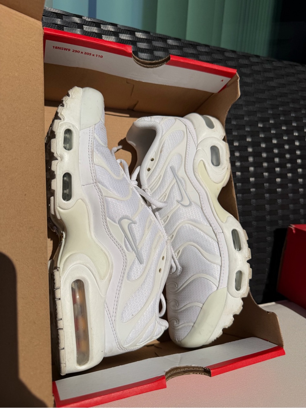 Nike White Air Max Plus TN Sneakers